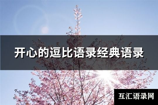 开心的逗比语录经典语录(优选60句)