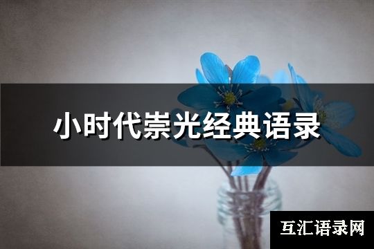 小时代崇光经典语录(61句)