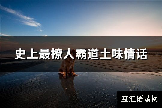 史上最撩人霸道土味情话(优选48句)