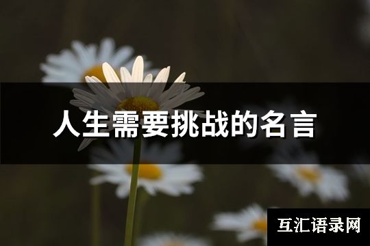 人生需要挑战的名言(实用71句)