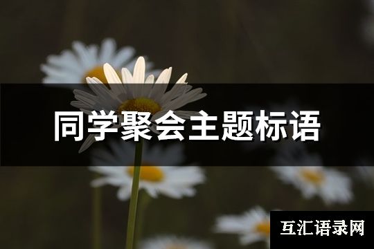 同学聚会主题标语(精选66句)