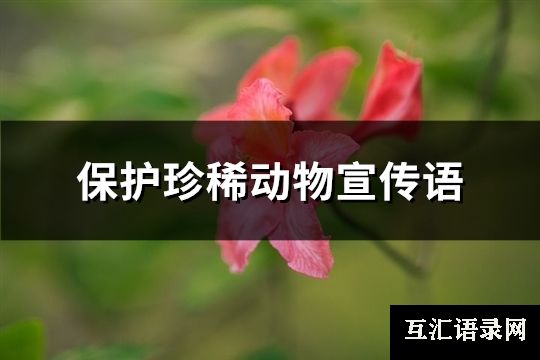 保护珍稀动物宣传语(精选85句)