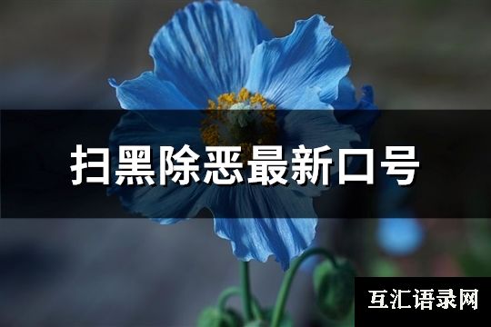 扫黑除恶最新口号(优选73句)