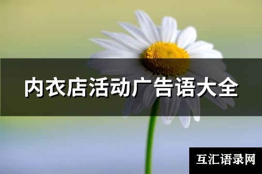 内衣店活动广告语大全(优选300句)
