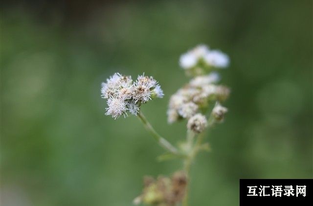 晚安句子简单一句话