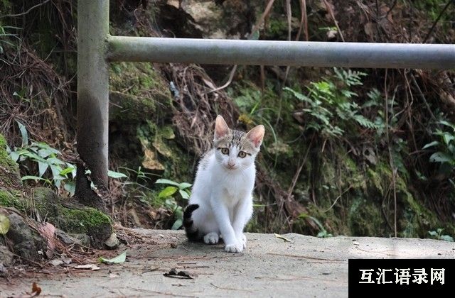 谷雨节气问候语