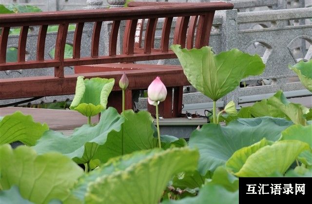 想哭了就抬头看看天空说说