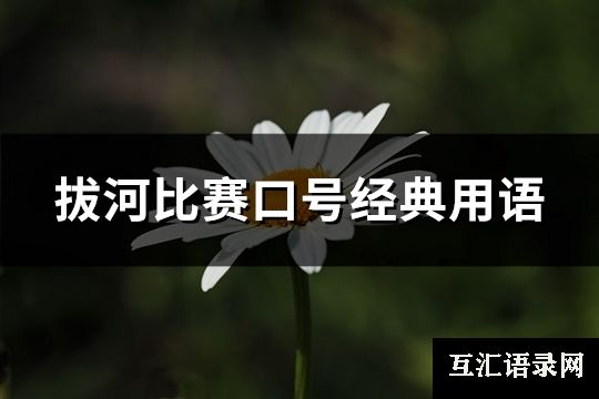 拔河比赛口号经典用语