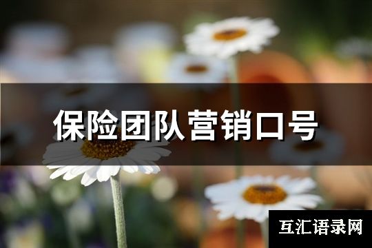 保险团队营销口号