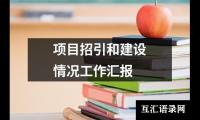 项目招引和建设情况工作汇报