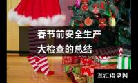春节前安全生产大检查的总结