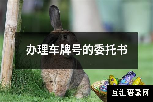 办理车牌号的委托书