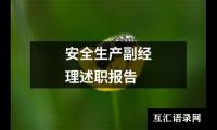 春节期间安全生产大检查工作简报