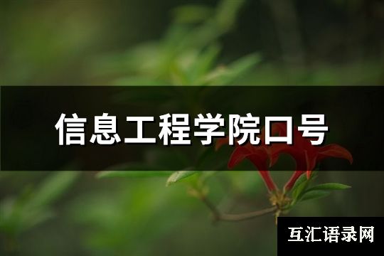 信息工程学院口号