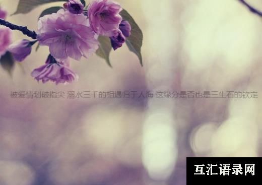 人居环境整治百日行动宣传标语