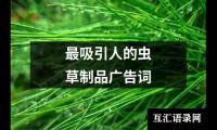 最吸引人的虫草制品广告词