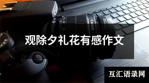 观除夕礼花有感作文