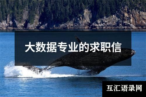 大数据专业的求职信