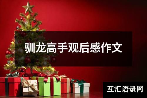 驯龙高手观后感作文