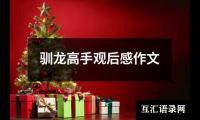 驯龙高手观后感作文
