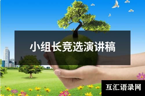小组长竞选演讲稿