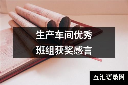 生产车间优秀班组获奖感言