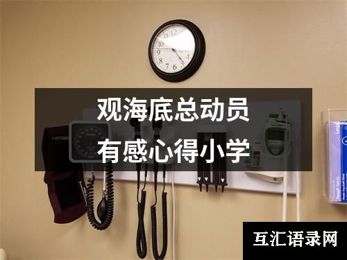 观海底总动员有感心得小学