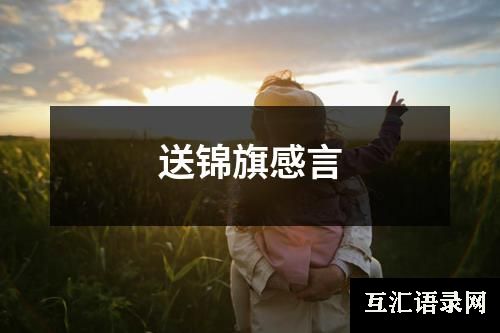 送锦旗感言