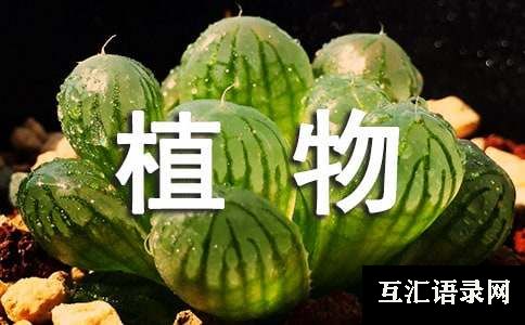 写植物的散文