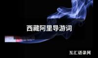 关于西藏阿里导游词（推荐6篇）