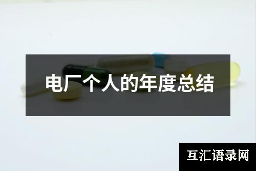 电厂个人的年度总结