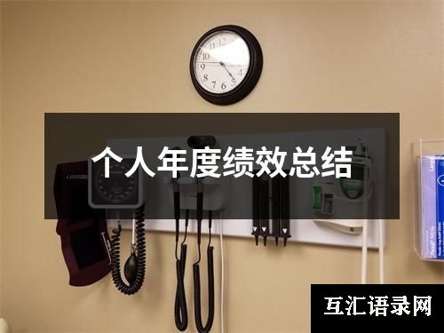 个人年度绩效总结