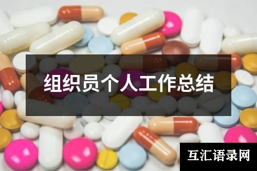 组织员个人工作总结