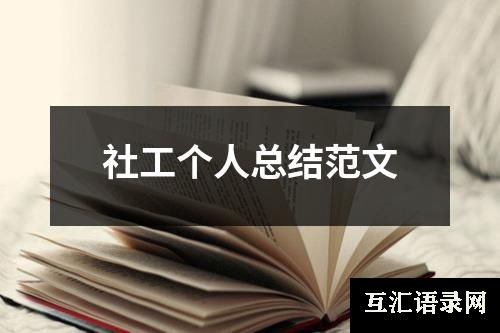社工个人总结范文