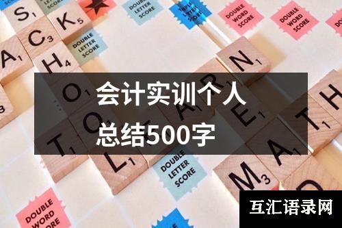 会计实训个人总结500字