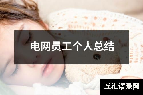 电网员工个人总结