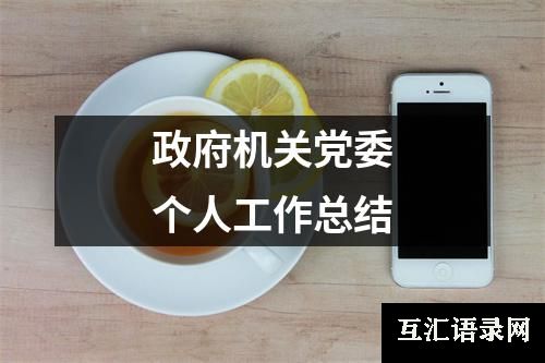 政府机关党委个人工作总结
