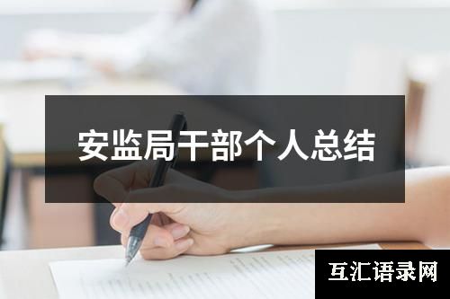 安监局干部个人总结