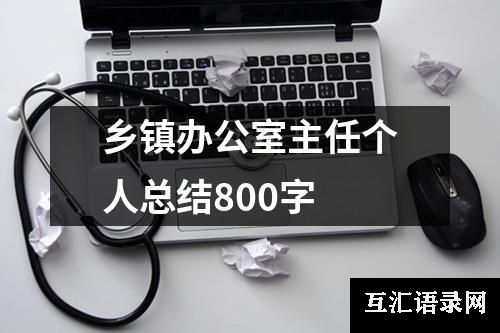 乡镇办公室主任个人总结800字