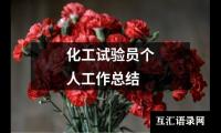 关于化工试验员个人工作总结（共16篇）