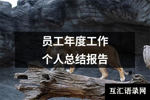 员工年度工作个人总结报告