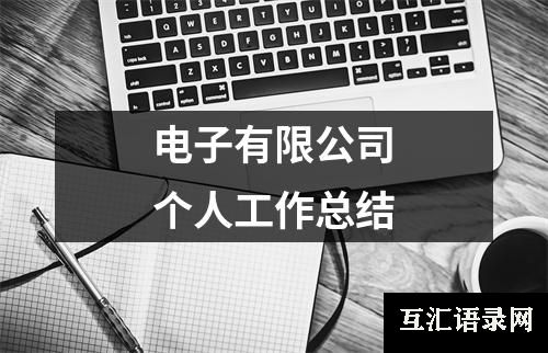 电子有限公司个人工作总结