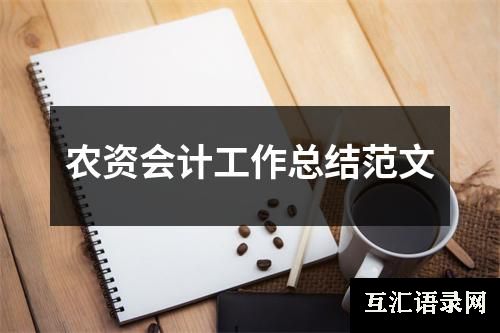 农资会计工作总结范文
