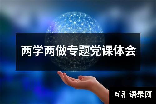 两学两做专题党课体会