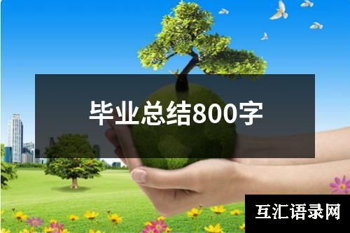 毕业总结800字