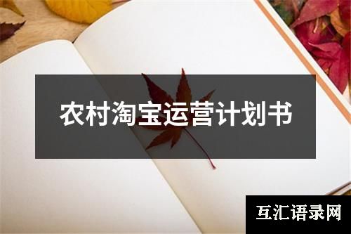 农村淘宝运营计划书