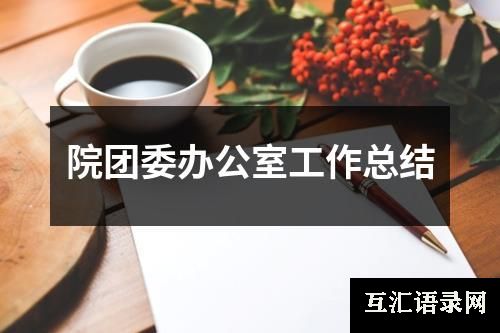 院团委办公室工作总结