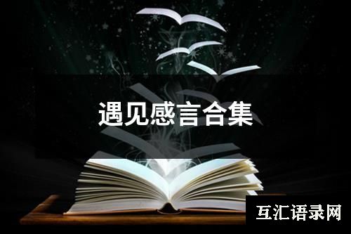 遇见感言合集