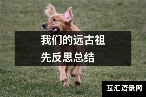 我们的远古祖先反思总结