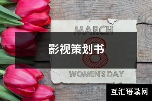 影视策划书
